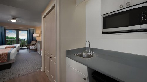 Disney's Vero Beach Resort - image 28