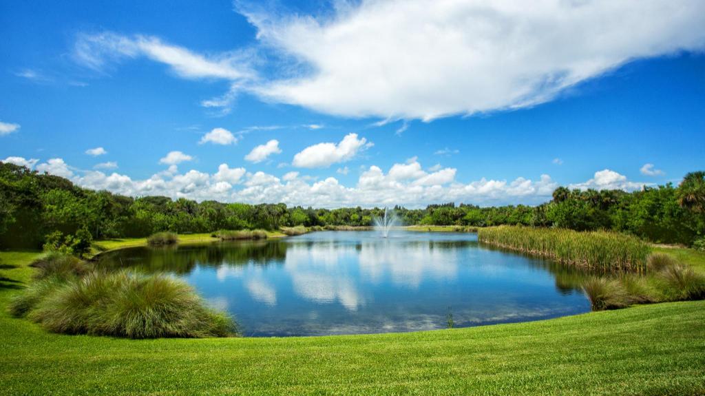 Disney's Vero Beach Resort - image 4