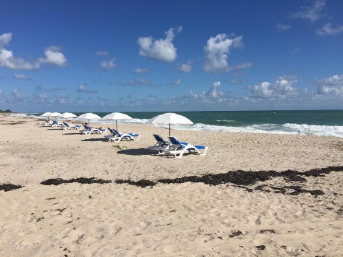 Prestige Hotel Vero Beach - image 24