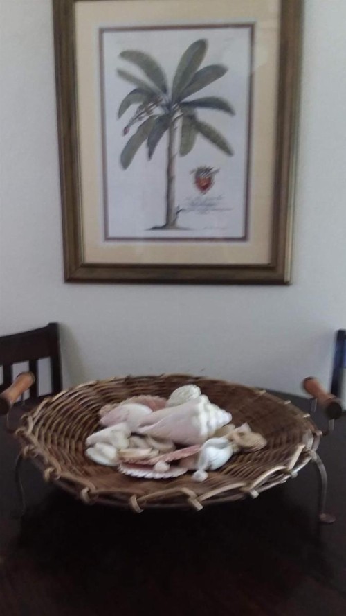 Casa de Tortuga Guesthouse - image 10