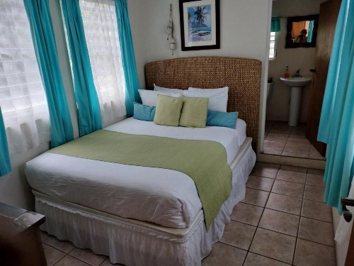 Casa de Tortuga Guesthouse - image 3