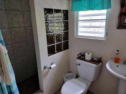 Casa de Tortuga Guesthouse - image 4