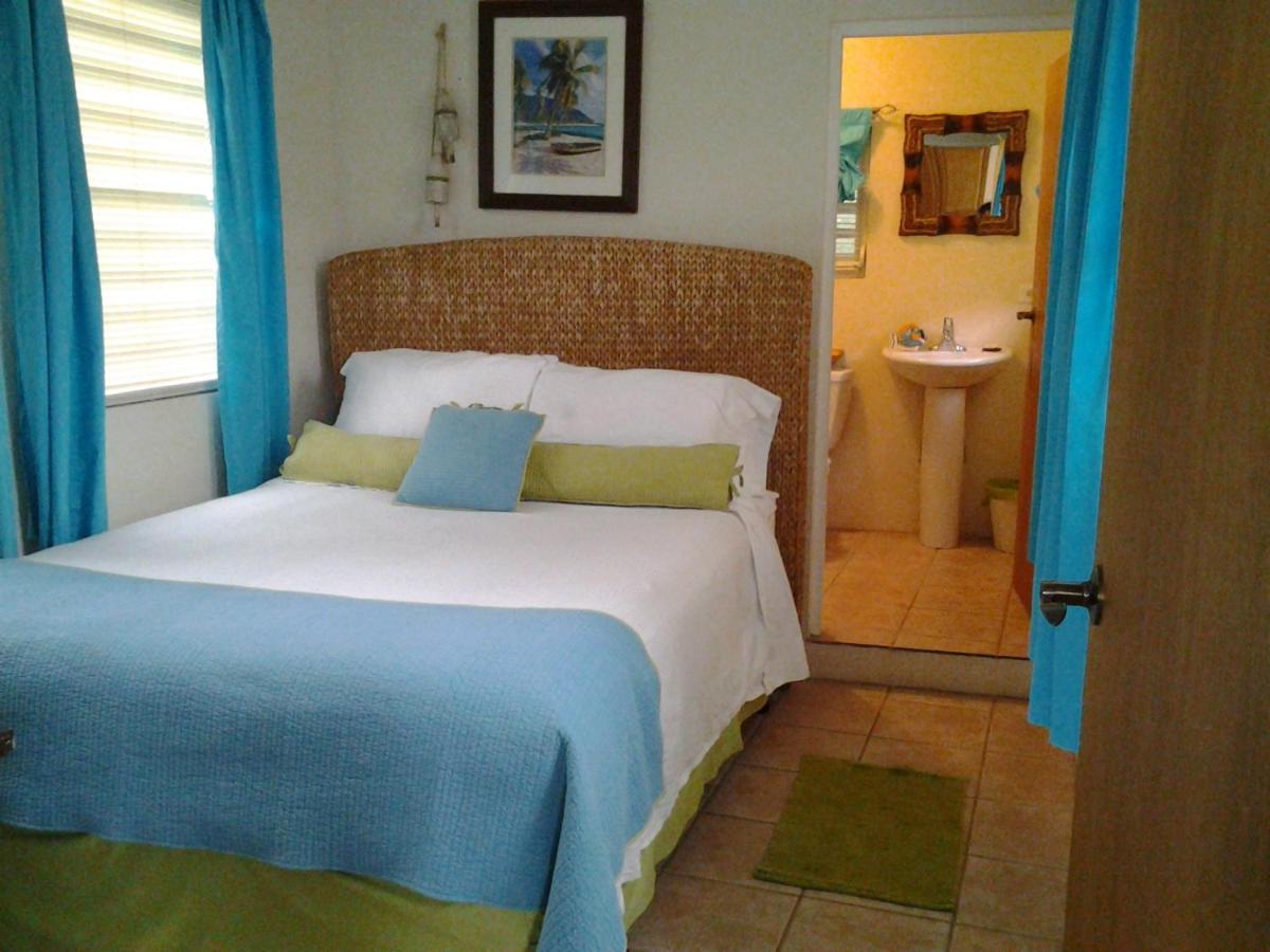 Casa de Tortuga Guesthouse - image 6