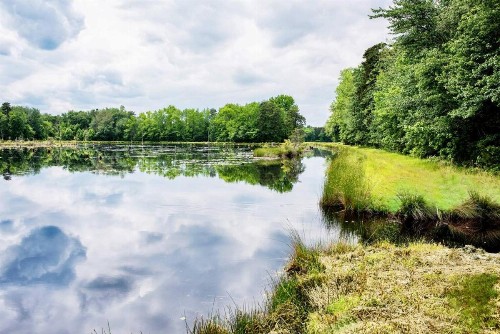 Tentrr - Pinelands Getaway - image 9