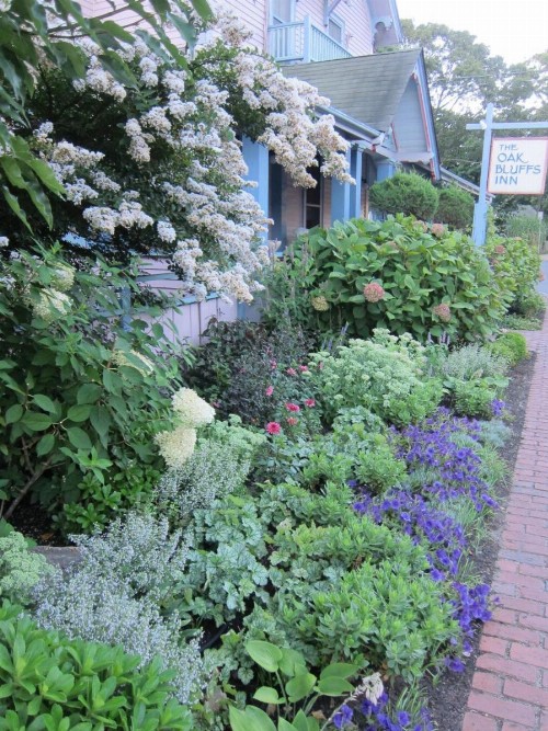 The Oak Bluffs Inn - image 21