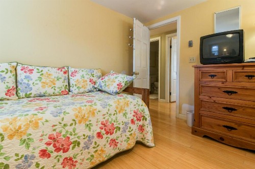 Island Sanctuary - image 7