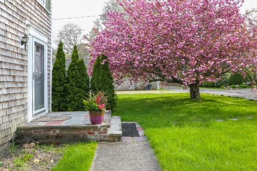 Island Sanctuary - image 8