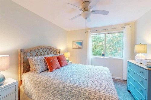 3 Bed 2 Bath Vacation home in West Tisbury - image 9