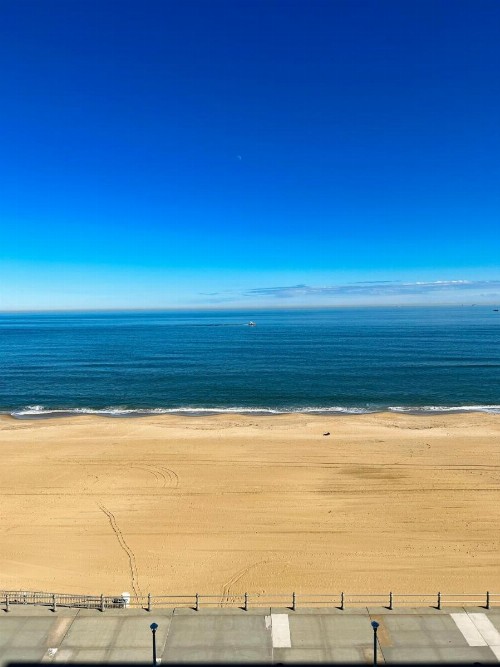 Sea View Hotel - image 11
