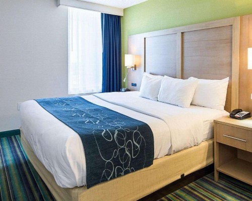 Comfort Suites Beachfront - image 5