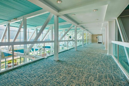 Holiday Inn VA Beach-Oceanside 21st Street an IHG Hotel - image 30