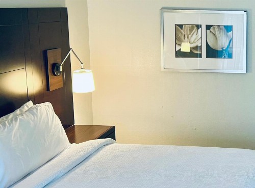 Holiday Inn Virginia Beach - Norfolk an IHG Hotel - image 11