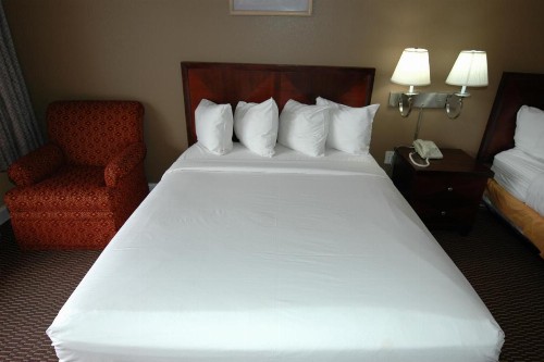 Ambassadors Inn & Suites - image 21