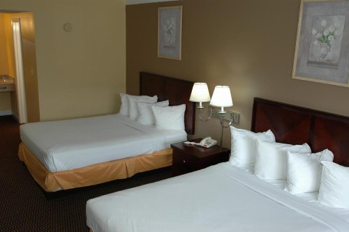 Ambassadors Inn & Suites - image 23