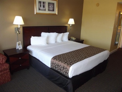 Ambassadors Inn & Suites - image 24