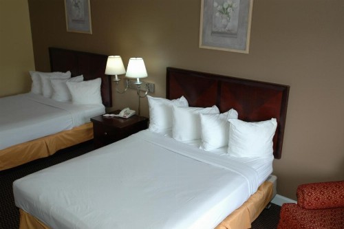Ambassadors Inn & Suites - image 27