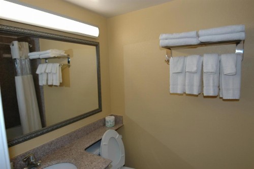 Ambassadors Inn & Suites - image 29