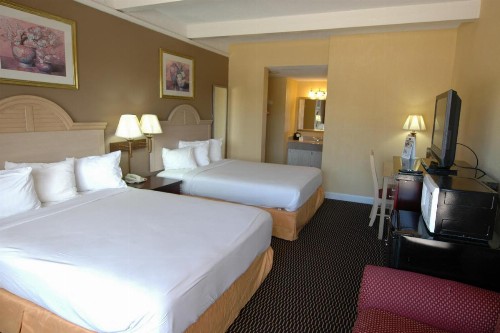 Ambassadors Inn & Suites - image 31