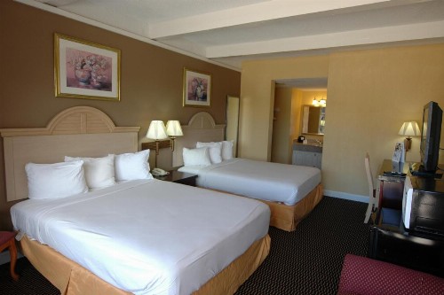 Ambassadors Inn & Suites - image 32