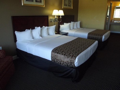 Ambassadors Inn & Suites - image 36