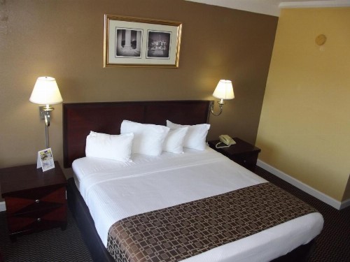 Ambassadors Inn & Suites - image 38