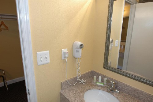 Ambassadors Inn & Suites - image 40