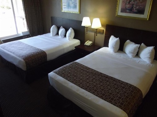 Ambassadors Inn & Suites - image 41