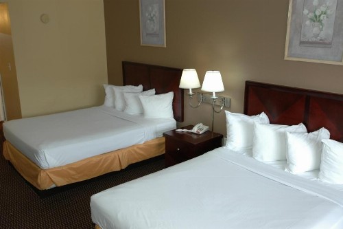 Ambassadors Inn & Suites - image 47