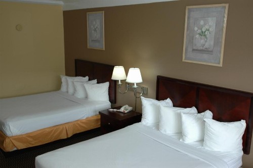 Ambassadors Inn & Suites - image 48
