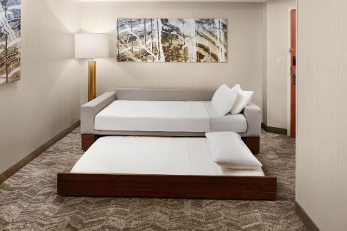 SpringHill Suites by Marriott Virginia Beach Oceanfront - image 34