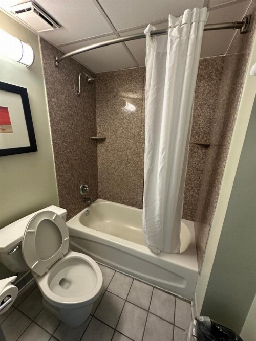 Best Western Plus Sandcastle Beachfront Hotel - image 39