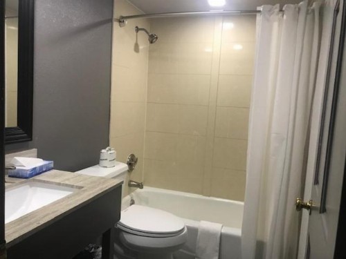 Alamar Resort Inn - image 18