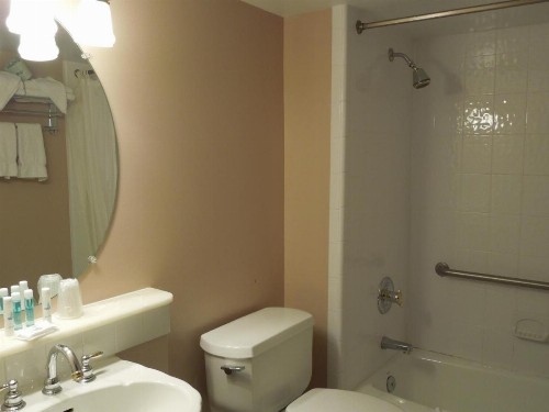 Alamar Resort Inn - image 41