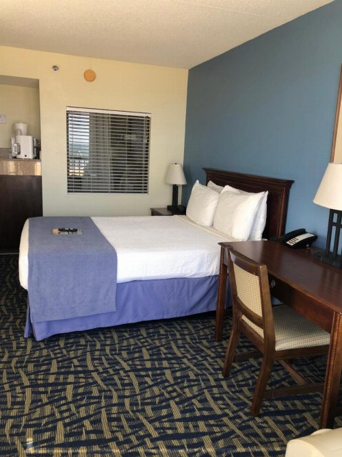 Capes Hotel - image 43