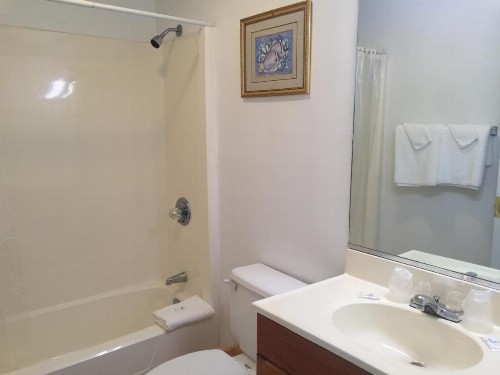 Ocean Cove Motel - image 5