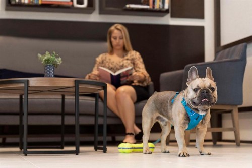 Hyatt Place Virginia Beach Town Center - image 14