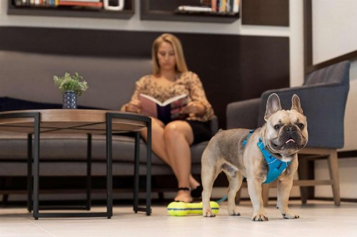 Hyatt Place Virginia Beach Town Center - image 12