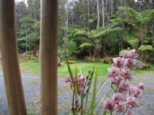 Aloha Crater Lodge and Lava Tube Tours - image 17