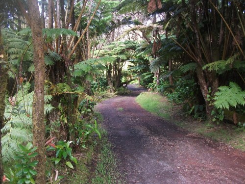 Aloha Crater Lodge and Lava Tube Tours - image 18