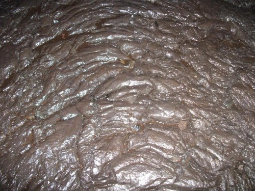 Aloha Crater Lodge and Lava Tube Tours - image 30