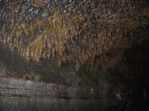 Aloha Crater Lodge and Lava Tube Tours - image 32