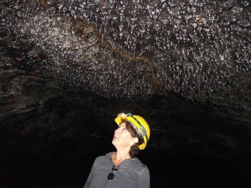 Aloha Crater Lodge and Lava Tube Tours - image 33