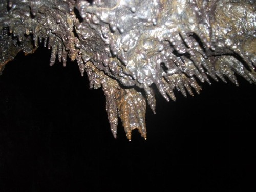 Aloha Crater Lodge and Lava Tube Tours - image 34