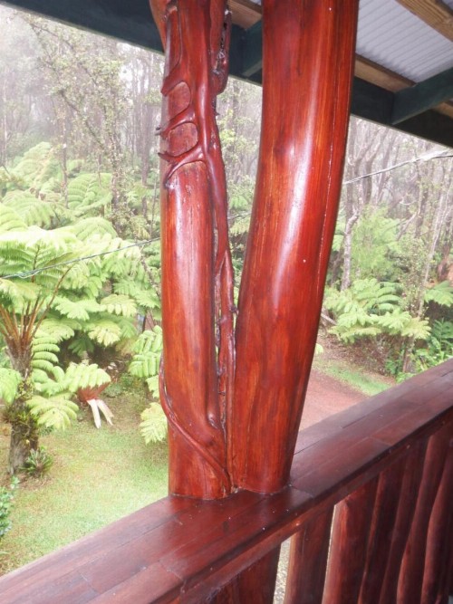 Aloha Crater Lodge and Lava Tube Tours - image 36