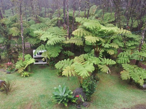 Aloha Crater Lodge and Lava Tube Tours - image 42