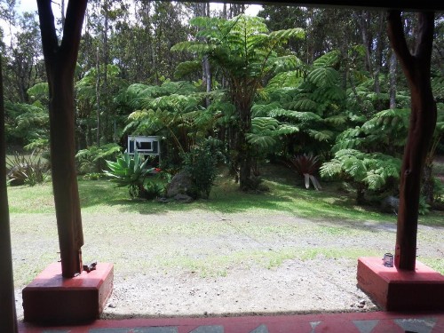 Aloha Crater Lodge and Lava Tube Tours - image 44