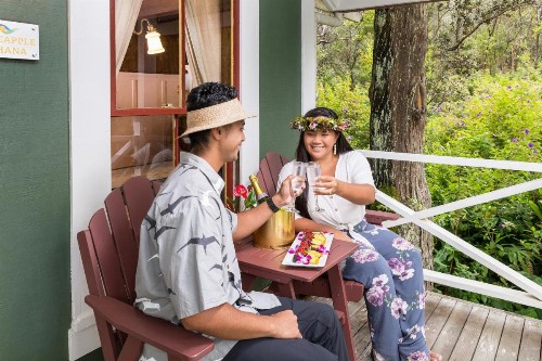 Volcano Village Estates - image 11