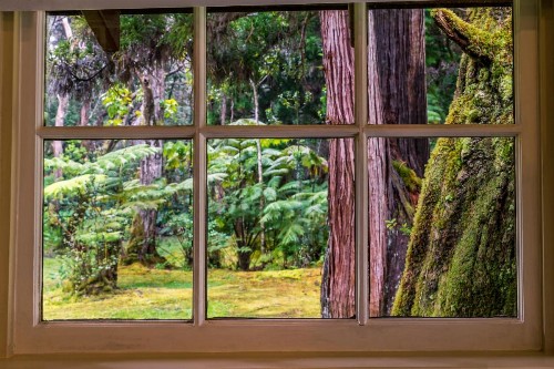 Volcano Village Estates - image 31