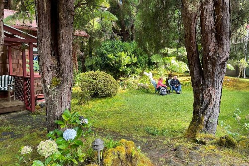 Volcano Village Estates - image 34