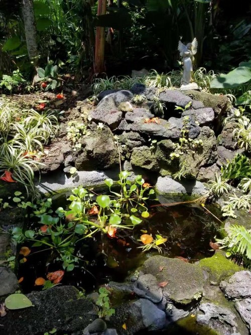 Volcano Forest Inn - image 26